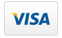 Cal Pajares - Icons visa