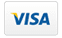 Cal Pajares - Icons visa
